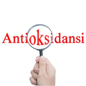 Antioksidansi_600x600
